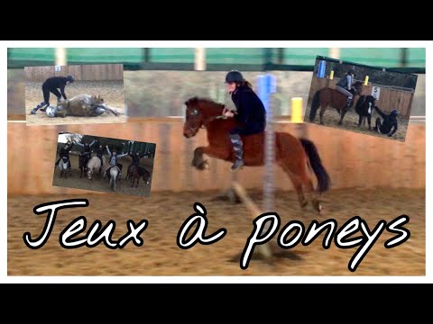 [COURS] JEUX à poneys ! (CHUTES 😂) 21/12/19 - CS’o Landreau