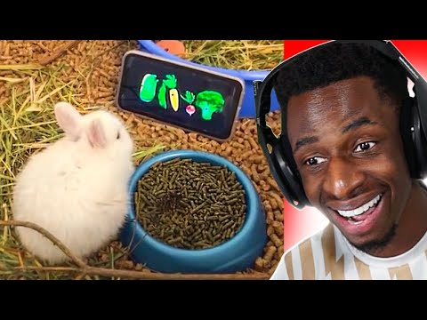 UNUSUAL MEMES COMPILATION #181