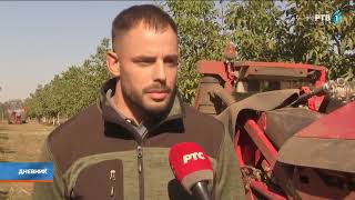 U Tornjošu jedna od najmodernijih plantaža oraha u jugoistočnoj Evropi