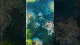 Mark McGuire - Tidings (Cassette Rip)
