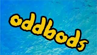 oddbods logo 2024 is the font good  yes