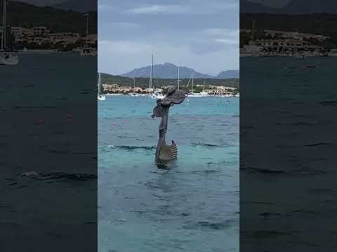 “La sirenetta” Golfo aranci Olbia