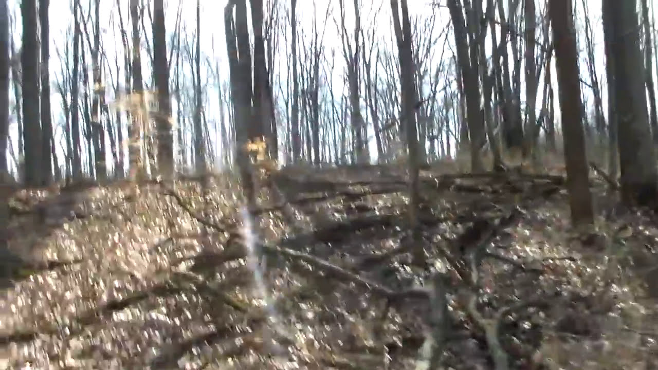 Prime Hunting Leases in Indiana: Exploring Jefferson County Property