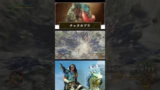 チャタカブラに相殺斬りをぶちかます　#shorts #モンハンワイルズ #大剣
