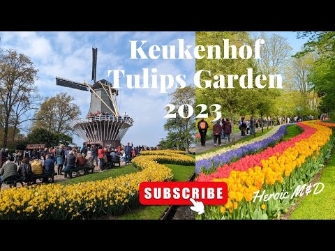 Keukenhof Tulips Garden | Netherlands  May 1,2023 | Walking Tour