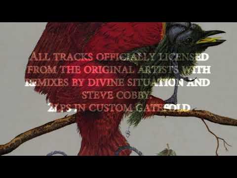 Greg Belson's Divine Disco Vol. 2 - Cultures of Soul Records - Promo Video