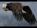 I'll Fly Away - Loretta Lynn & Wilburn Bros