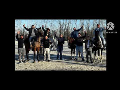 Banfy & Artisti Vari - Vuoi Ballare (2024)