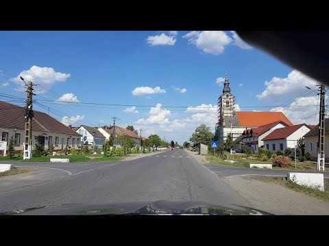 Liebling - Stamora Romana 2017