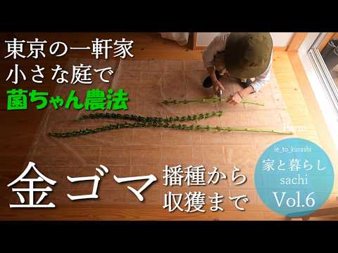 金属-トマト-サポート-レイズドベッド-