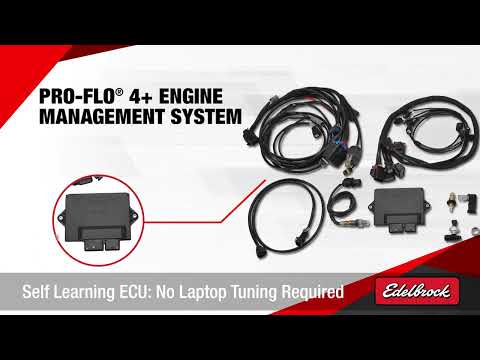 Edelbrock Pro-Flo 4+ Engine Management System