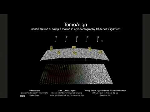 TomoAlign 