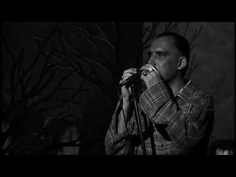 Contato Imediato - Arnaldo Antunes (Ao Vivo no Estúdio)