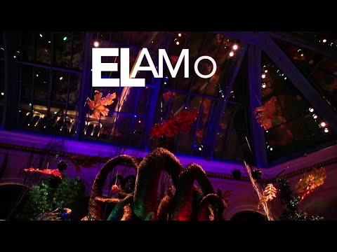 Felipe Peláez & Manuel Julián – Me Caso Contigo (Lyric Video Oficial)