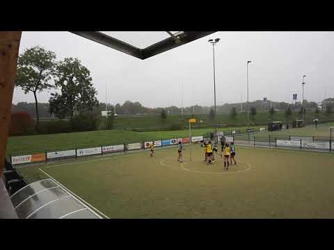 Dalto A2   Groen Geel A1