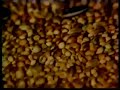 Sesame Street How Birdseed Is Made