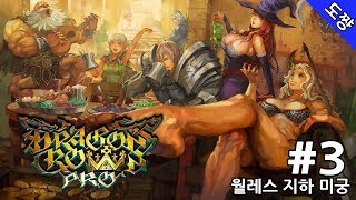 드래곤즈 크라운 프로 #3화 월레스 지하 미궁 [4K로 돌아온 명작!][Dragons's Crown Pro][도쨩]