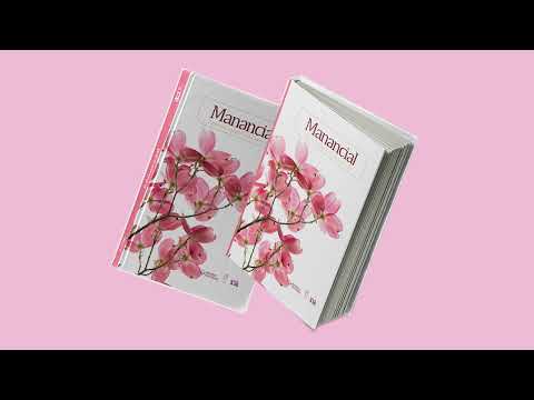 Manancial 07 02 2025