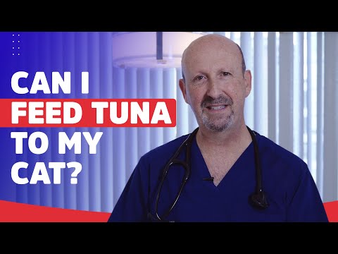 Can I feed Tuna to my cat?
