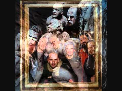 Berroguetto _ Anubia (Navicularia)