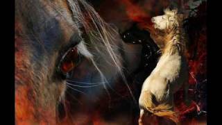 Celestial Season - King Lizard