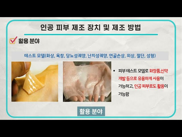 인공 피부 제조 장치 및 제조 방법