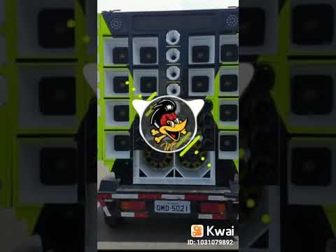 Boyzinho O Rei da bregadeira 🔊🎶