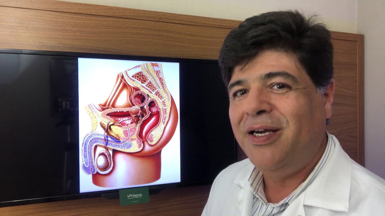 A PRÓSTATA - ONDE VIVE ? QUAL SUA FUNÇÃO ? O QUE ESPERAR ?