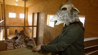 Mom Who Livestreamed Labor With Giraffe Mask Meets April at Zoo