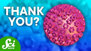 Why It Might Be Good to Have Herpes | Trained Immunity