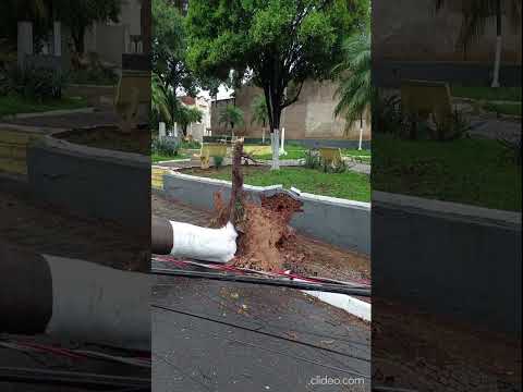 Getulina foi atingida por um forte temporal neste fim de semana