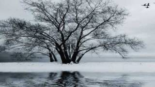 Musik-Video-Miniaturansicht zu Inverno Songtext von Franco Battiato