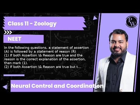 YouTube video about: Which of the following statements is true about monitoring?