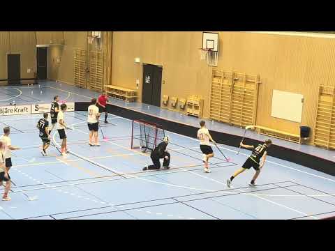 Highlights Träningsmatch Åstorp/Kvidinge IBS - FBC Engelholm 7-2
