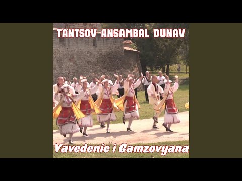 Vavedenie i Gamzovyana