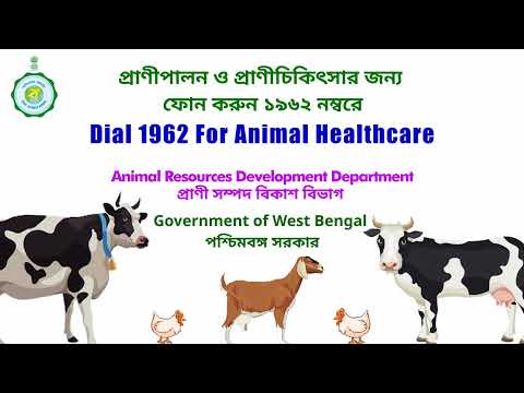 Dial 1962 for Animal Healthcare