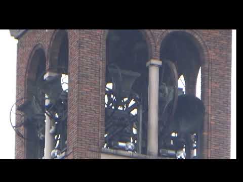 Le campane di Capralba (CR) - Chiesa Parrocchiale dei Santi Andrea e Zenone (1)