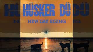 Husker Du - Celebrated Summer (HD)