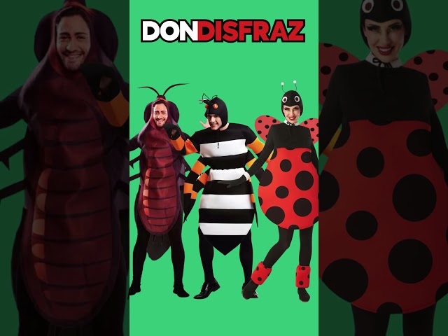 Vídeo relacionado con GNALIA Disfraz Despedida Soltero, 1 Unidad De Verde, Talla Única Para Hombre, Ropa Interior Temática Para Fiestas