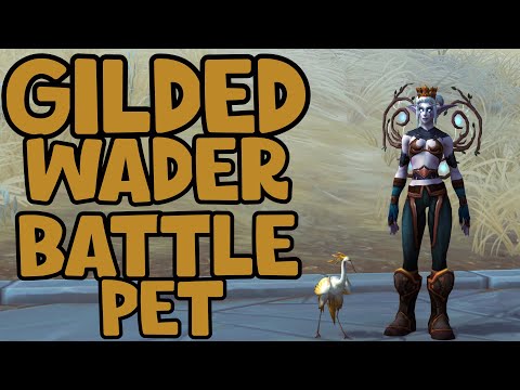 WoW Shadowlands - How To Get The Gilded Wader Battle Pet | Bastion Treasures