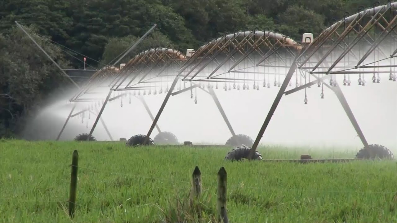 AGROPECUARIA COROZITO HACIENDA COROZITO CAP 1   MANI CASANARE