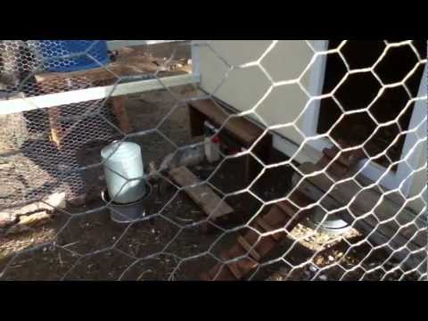 Turkey coop quick tour