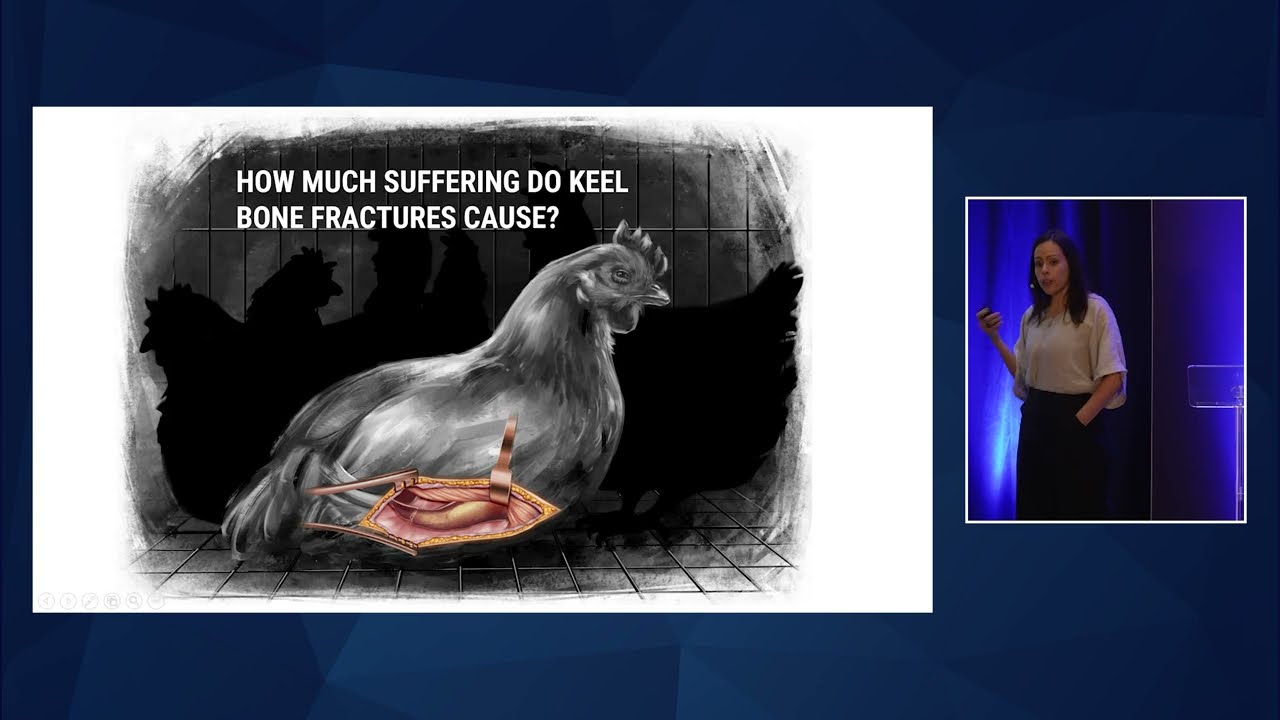 Quantifying animal suffering and the impact of welfare interventions | Cynthia Schuck| EAG Boston 23