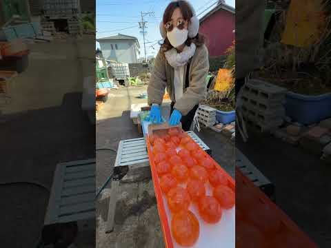 Marble Run ☆ It's Catherine and Marble Run ♪②