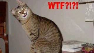 Trend-Frickin&#39; A