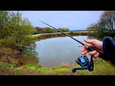 Jigging Worms For Perch On The Canal And Pond!