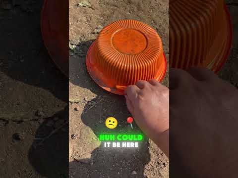 🐱👶🔍 Where Is the Kitten Baby?#funny