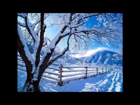 Raposatu - Vis de iarna(Prod. B-Tribe)