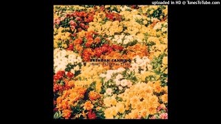 Brendan Canning - Nashville Late Pass