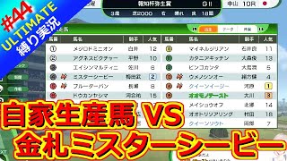 【ウイポ10 2025】＃44 ライバルはミスターシービー カツラギエース！縛りプレイ！史実馬所有なし！引き継ぎなし！難易度ULTIMATE！1983年1月1週～【ウイニングポスト10 2025】